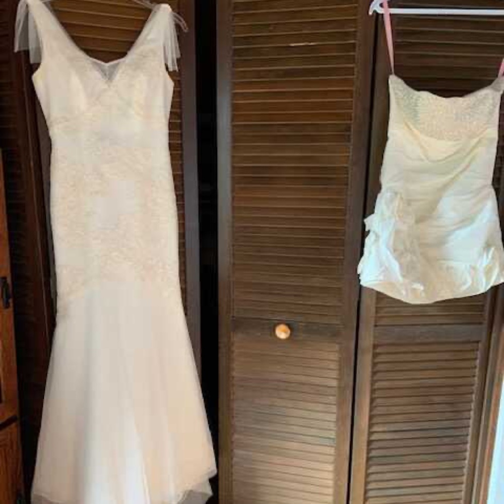 Vera Wang Wedding dress - Picture 6 of 16
